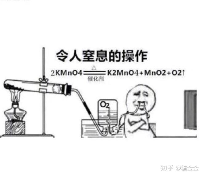 最新绞肉机，变化的力量与自信的成就展现