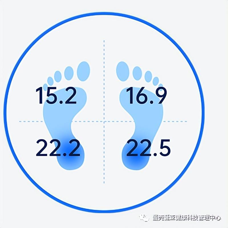 探索人体奥秘的全面指南，最新人体网
