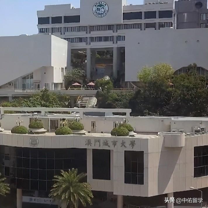 2024澳门天天开奖免费材料,连贯性方法执行评估_VAR34.937教育版