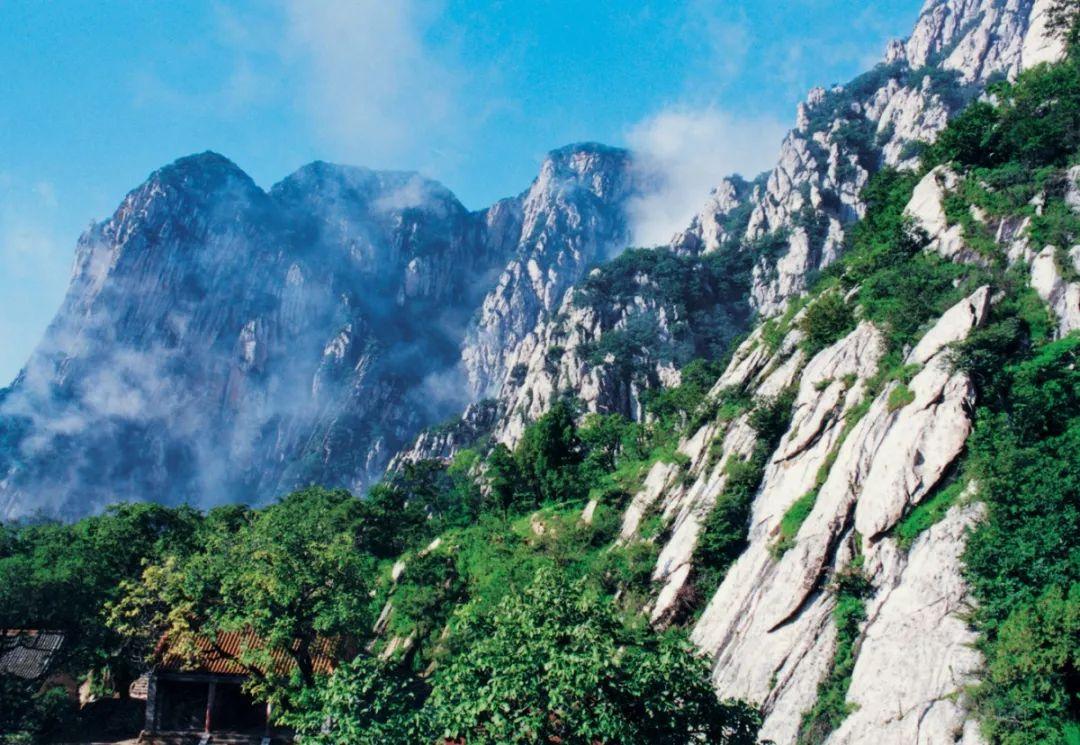 商务信息咨询 第530页