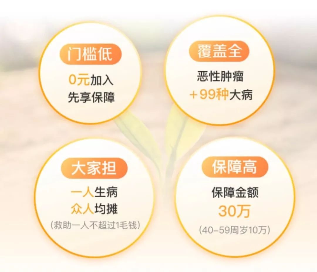 管家婆一码一肖最准资料,全方位数据解析表述_RMG34.154神秘版