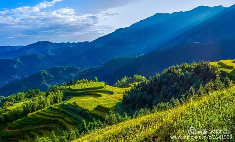 遂川最新新闻，拥抱自然，心灵宁静之旅