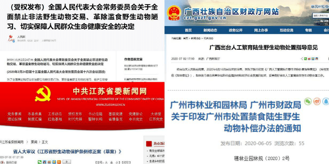 2024年管家婆,完善实施计划_MAV34.261经典版