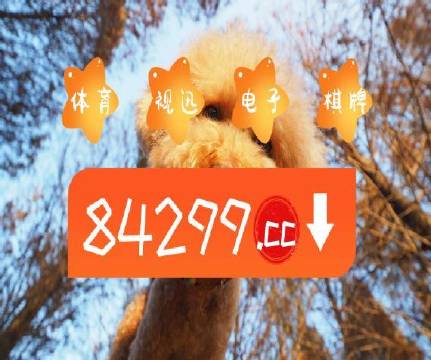 澳门天天开彩好正版挂牌图,数据驱动方案_NBO34.246探索版