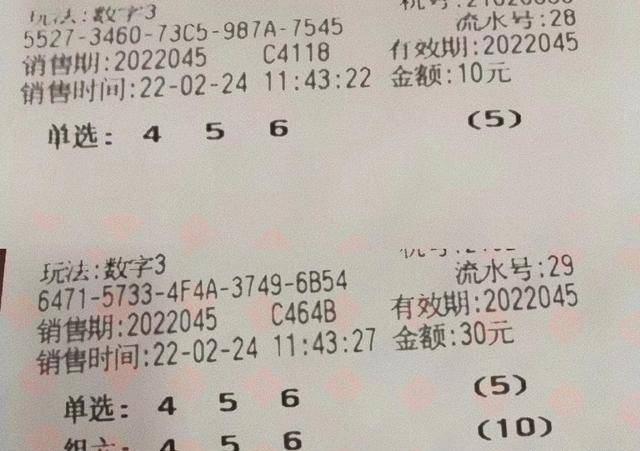 344456ccm彩民新奥彩,现象分析定义_XBX34.920见证版