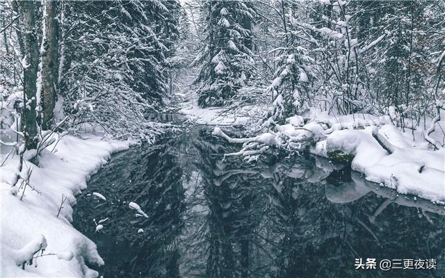 中越最新新闻，自然美景探索之旅，追寻内心平和与喜悦