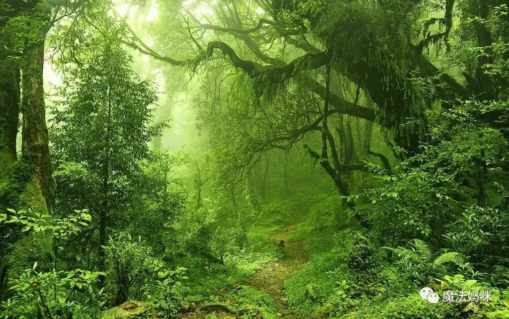 最新病毒诺，自然美景探险之旅的挑战与启示