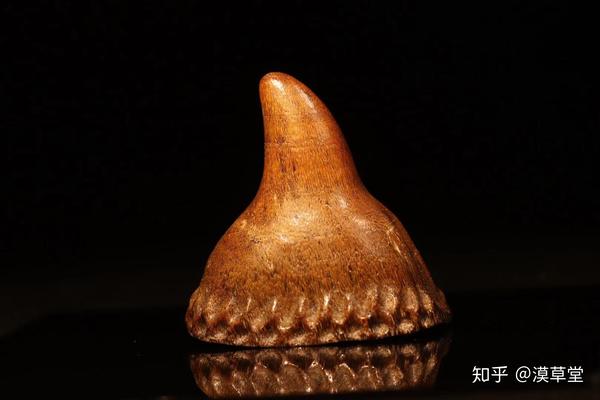 犀角最新价格与寻找内心平静的旅行探险