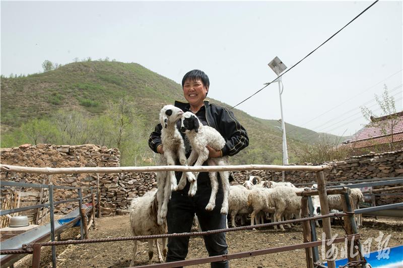 围场最新楼盘展望，时代印记，未来生活启航