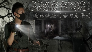 陌陌破解揭秘，小巷深处的神秘饕餮盛宴背后的犯罪真相探索