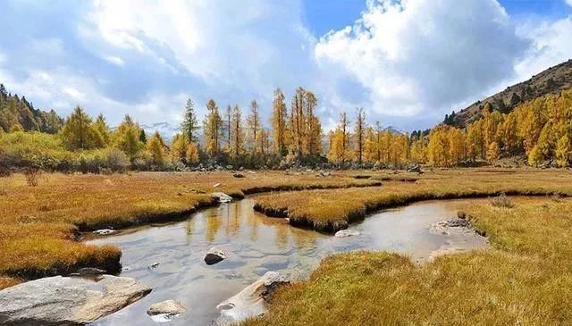 赵壮天探险之旅，探寻自然魔法与内心宁静的奥秘