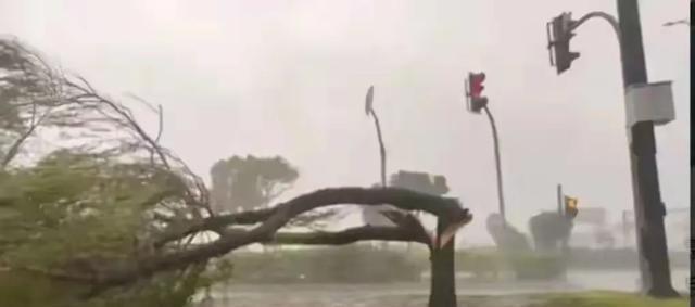 双11最新数据下的消费狂欢与深思，观点分析报告