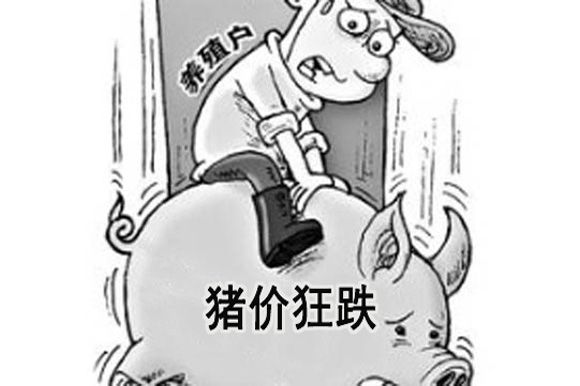 时代背景下的黑户小贷犯罪现象解析