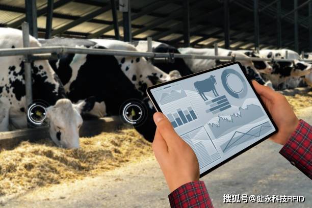 揭秘高科技养殖新时代，智能变革引领养殖行业迈向前所未有的发展境界