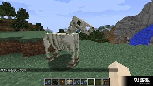 最新卡骷髅马,温馨的冒险之旅开启