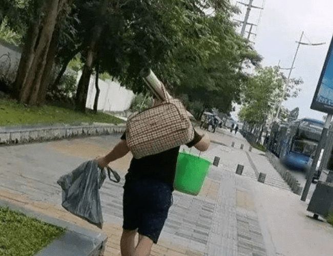 叶檀最新言论，社会现象与个人立场的深度探讨
