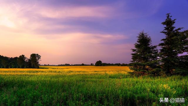 最新U盘专杀工具与寻找内心宁静的自然美景之旅