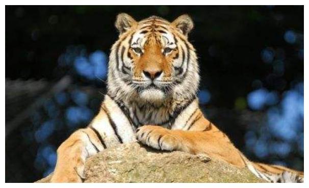 椒江最新动态，温馨日常与朋友间的情感纽带