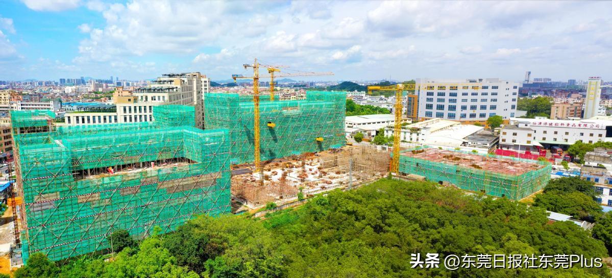 最新盘后票大揭秘，不容错过的投资机会！