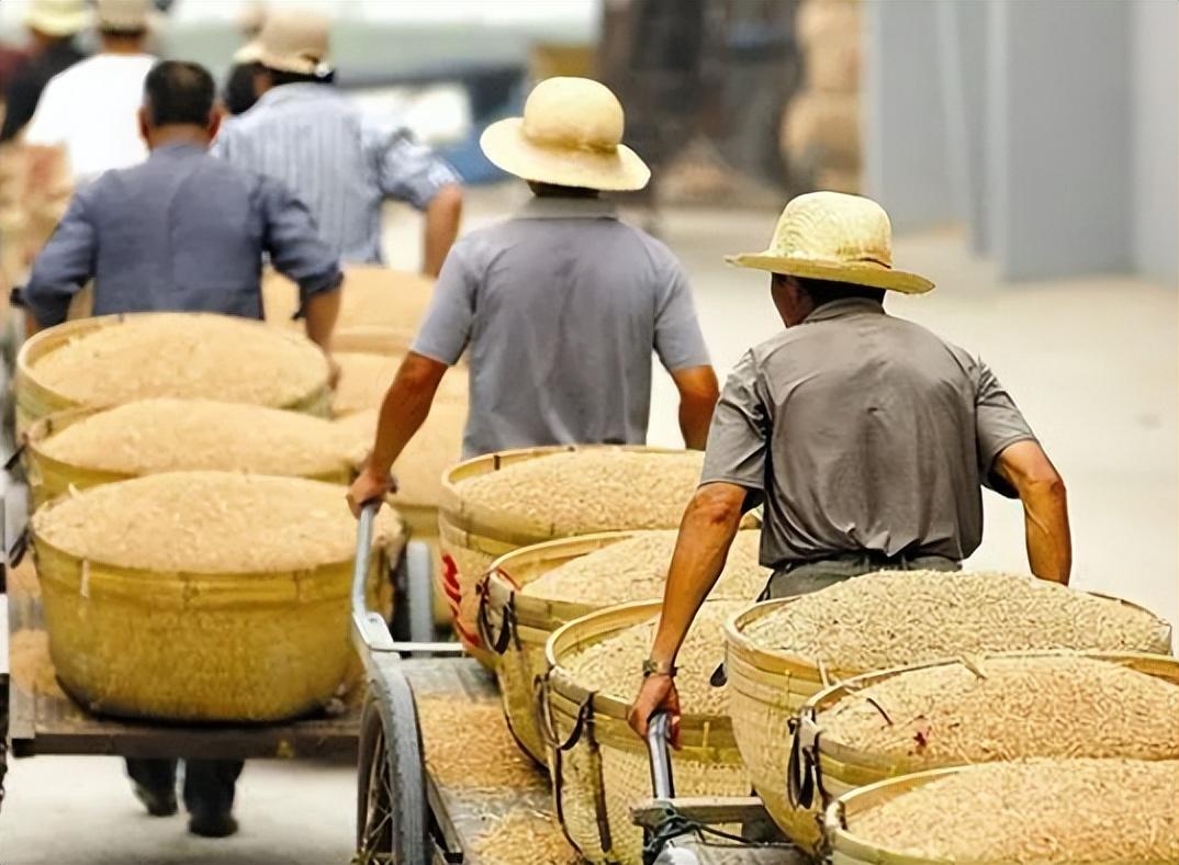 牧原股份最新动态深度解析