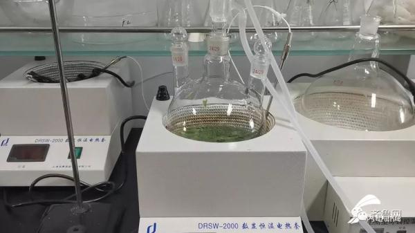 山东芹菜产地最新价格揭秘,绿色之旅寻求内心平静之道