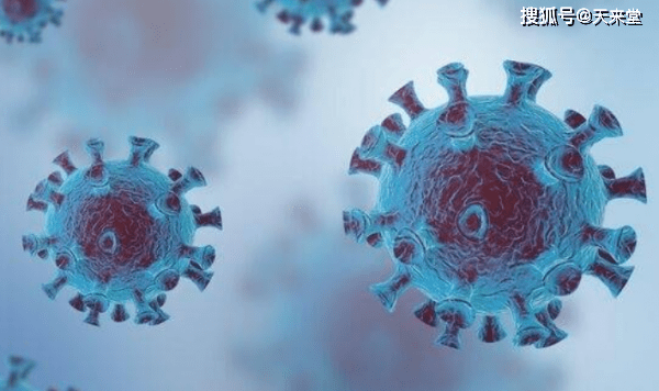 乐山新闻天天报最新动态，拥抱自然，寻找内心平和之旅