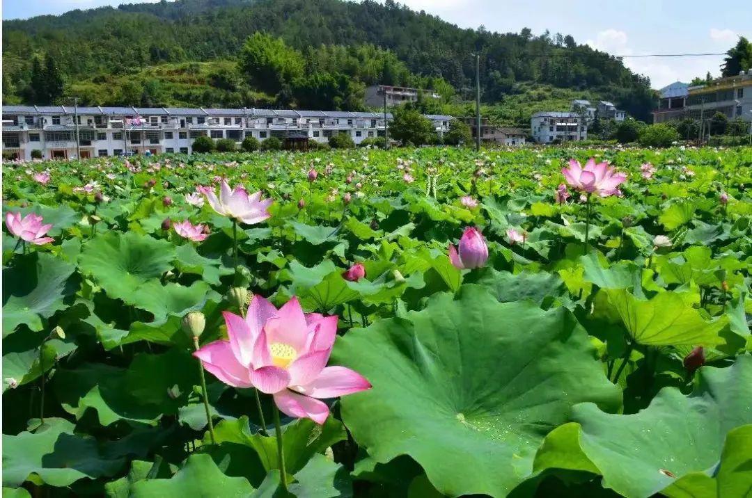 赣州最新地图探索,变化中的城市,自信成就未来之路