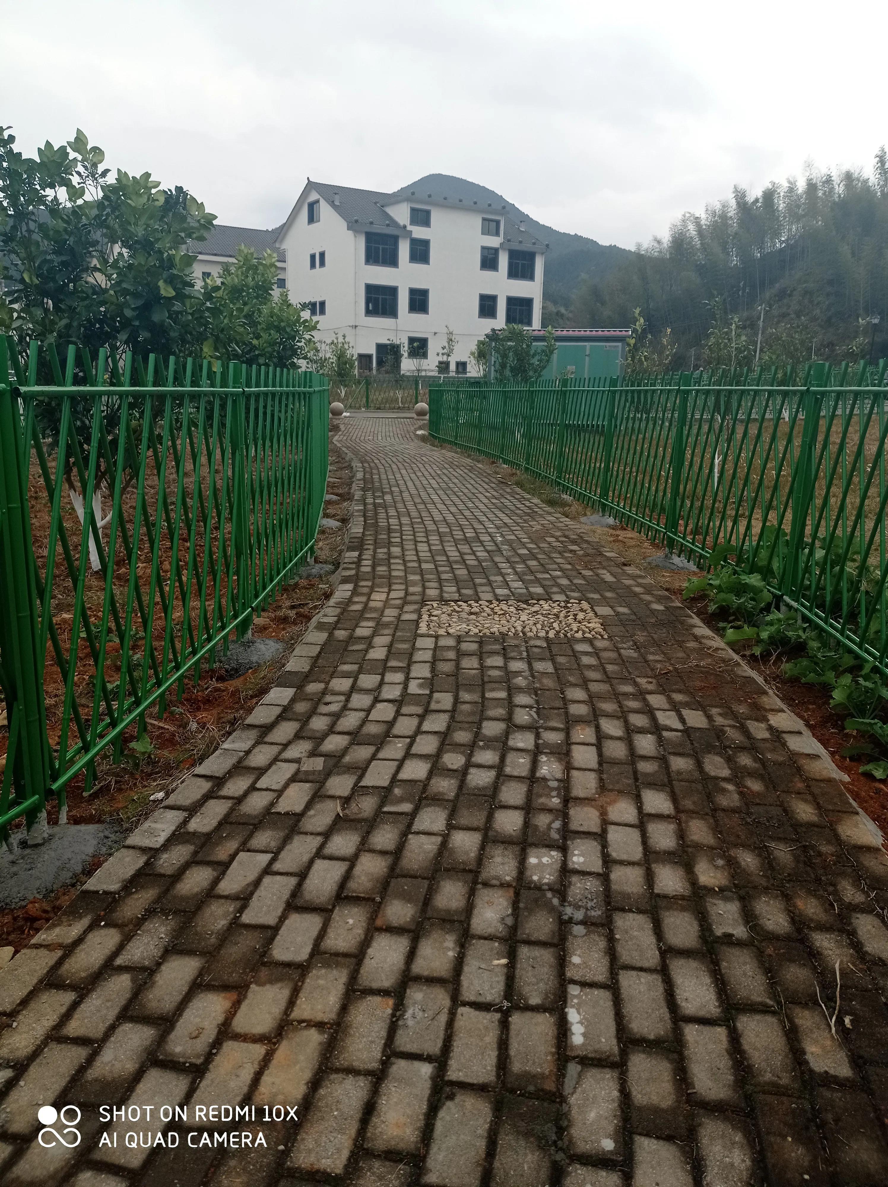 联谊枫林小镇最新动态，学习变革，自信塑造未来