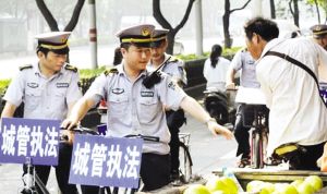 双鸭山最新杀人案深度解析,背景与要点探究