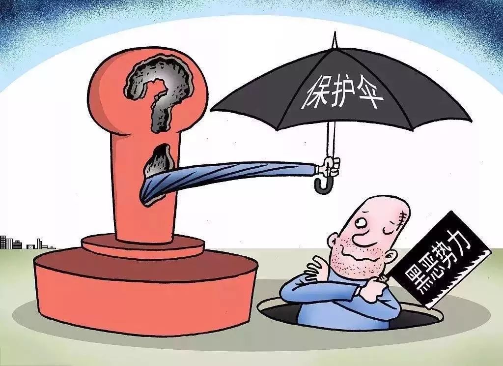 儋州诈骗案最新照片揭示，一张照片背后的温暖故事与奇遇