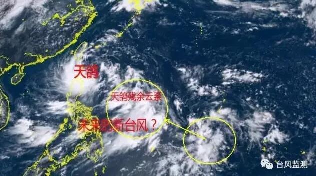 台风天鸽最新路径探索，小巷深处的惊喜发现