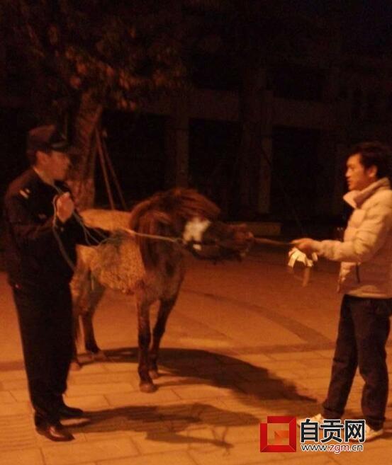 自贡抓马儿全集最新资讯背后的警示，涉黄内容需警惕，遵守法律法规和社会道德。