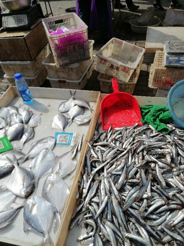 大连最新早市概览,科技生活的新篇章