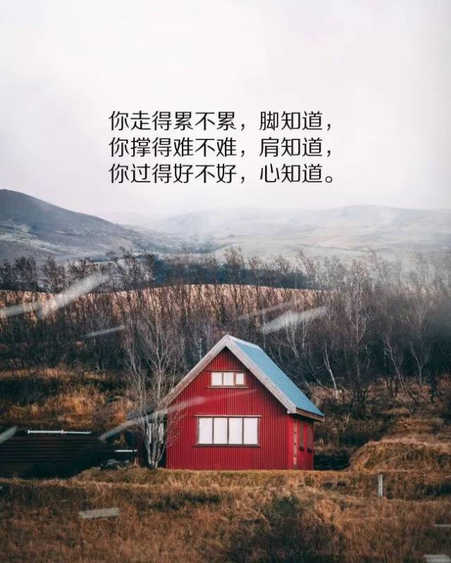 最新暖心短句说说,小巷深处的独特味道,温暖每一刻的心灵瞬间。