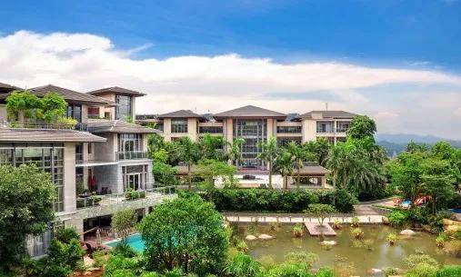 商务信息咨询 第493页