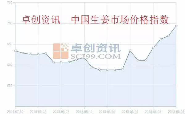 今日生姜价格走势揭秘，温情友情交织的波动故事