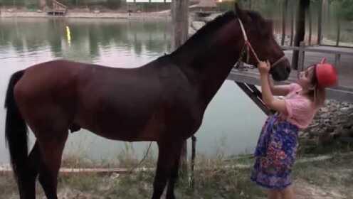 公马配最新视频播放,公马配最新视频播放,小巷深处的特色小店探秘