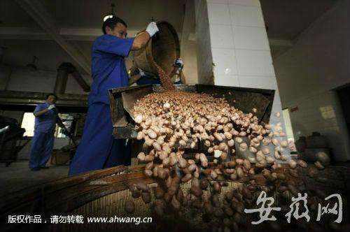 合肥最新购房政策,时代印记与城市发展的同步前行