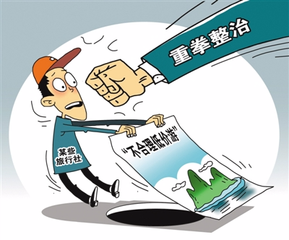 云南鲁甸最新新闻信息多维度的深度探讨