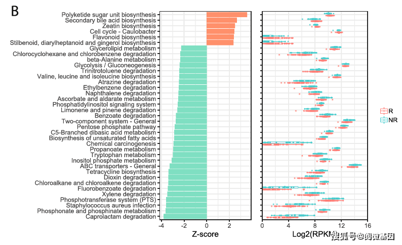 酒店管理 第484页