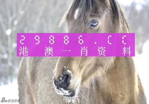 日用百货销售 第478页