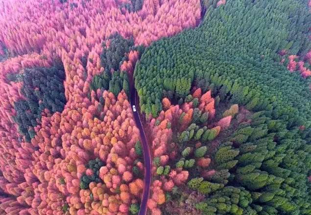 中山御水湾最新动态揭秘,探索自然美景之旅,内心平静的寻觅之旅