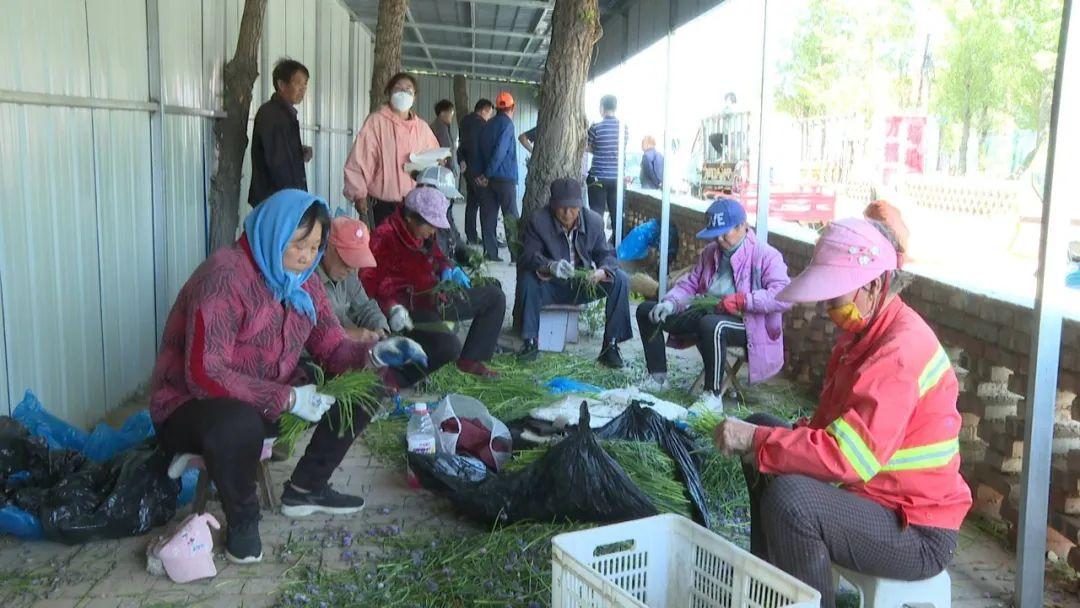 右玉最新地图,科技驱动探索,未来无限可能