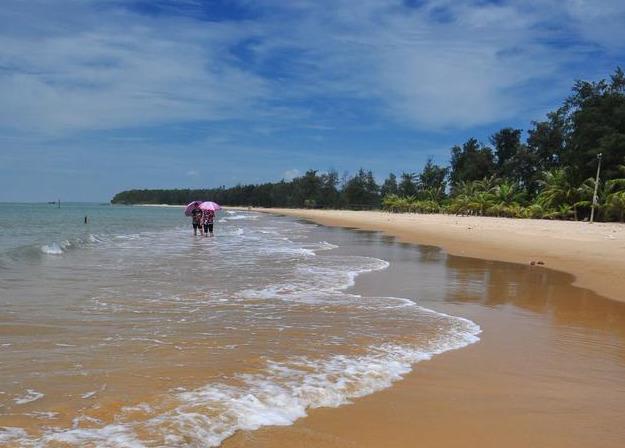 徐闻最新建设图片，城市发展的精彩瞬间与生动写照