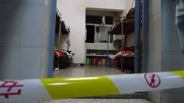 太伏中学最新报道，温馨日常故事概览