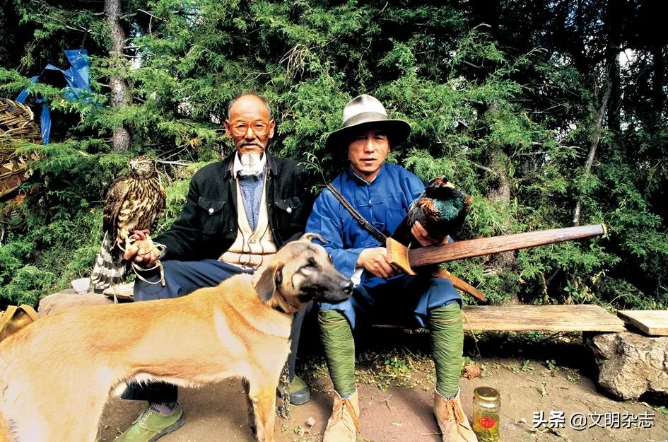 最新鹰猎视频大全,猎鹰的激情与艺术探索