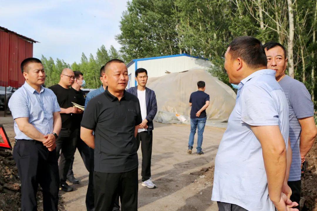 吉林梨树生猪价格最新动态更新🐖📈