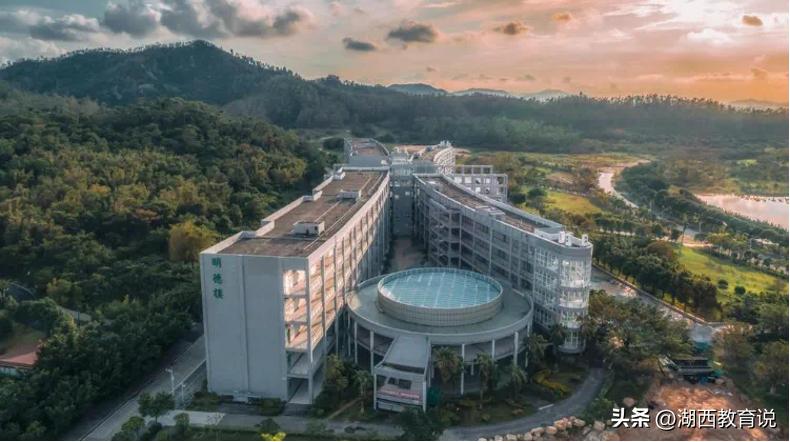 探索最新免费网站，信息海洋的无限可能（2024版）