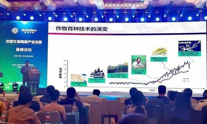 2024管家婆正板资料免费,标准执行具体评价_内容版76.735