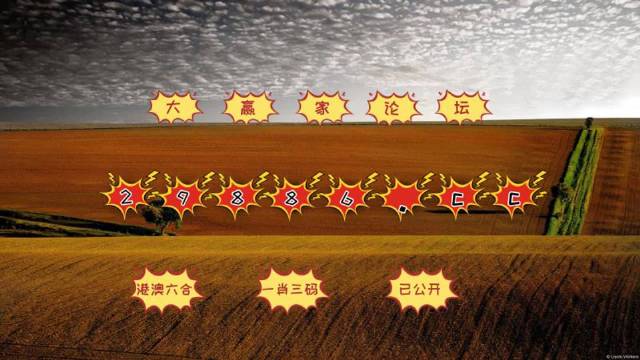 澳门四肖期期中特免费公开网站,高效运行支持_改进版46.460